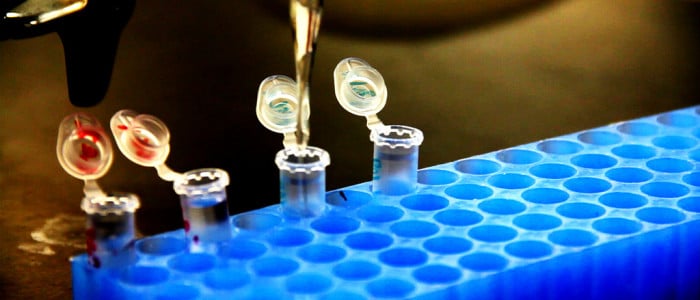 Science, the State and the City – An interview with Geoffrey Owen and Michael Hopkins about biotech sector in Europe