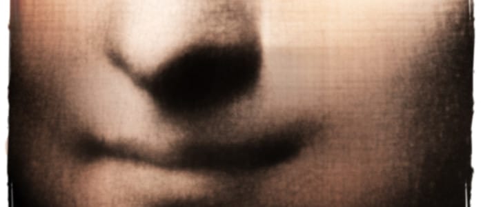 Is Mona Lisa Smiling or Laughing at the MEP’s Vote on Netflix?