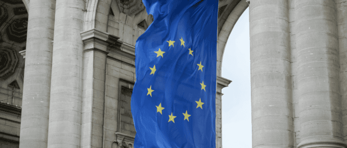 The New EU Strategy for Trade and Development