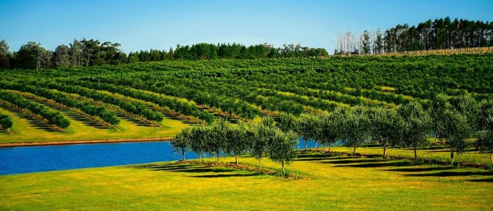 Doubts Trap the Mercosur – EU Agreement